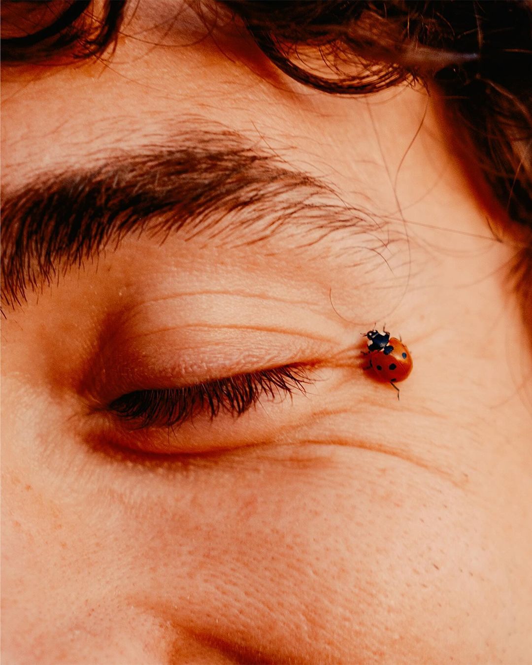 Daniel Dorsa