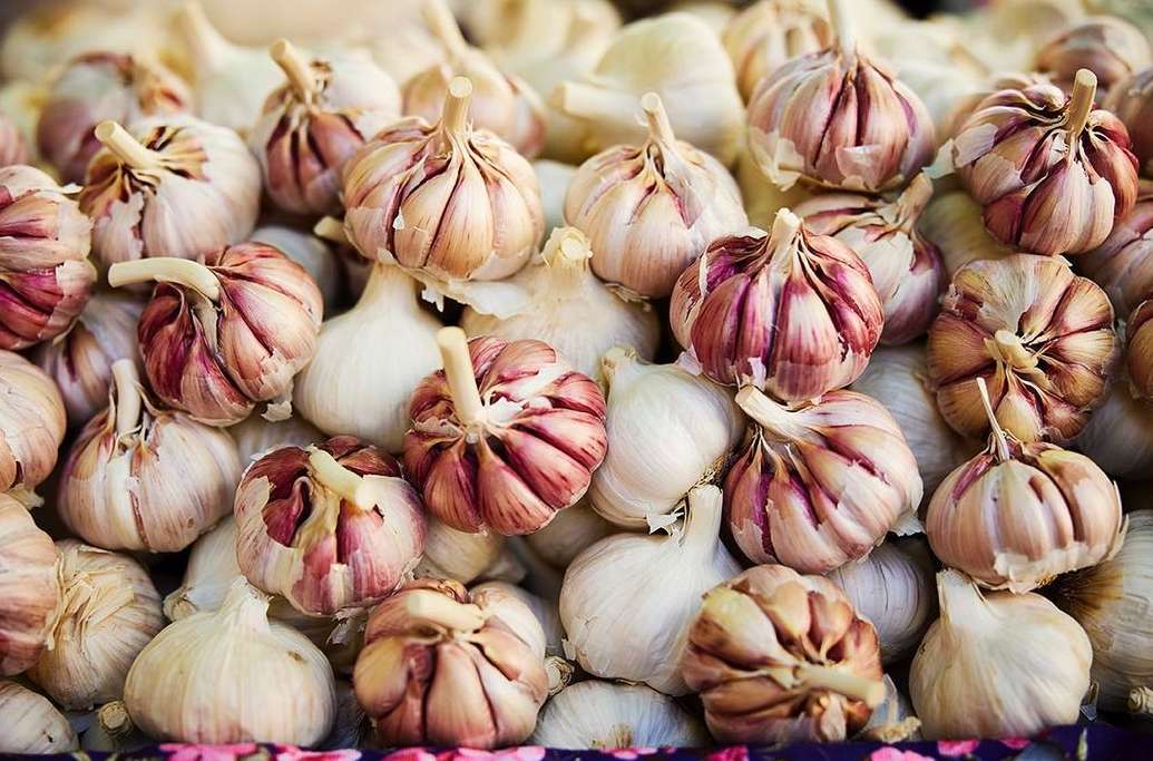 Quadrille |  Nov. 23