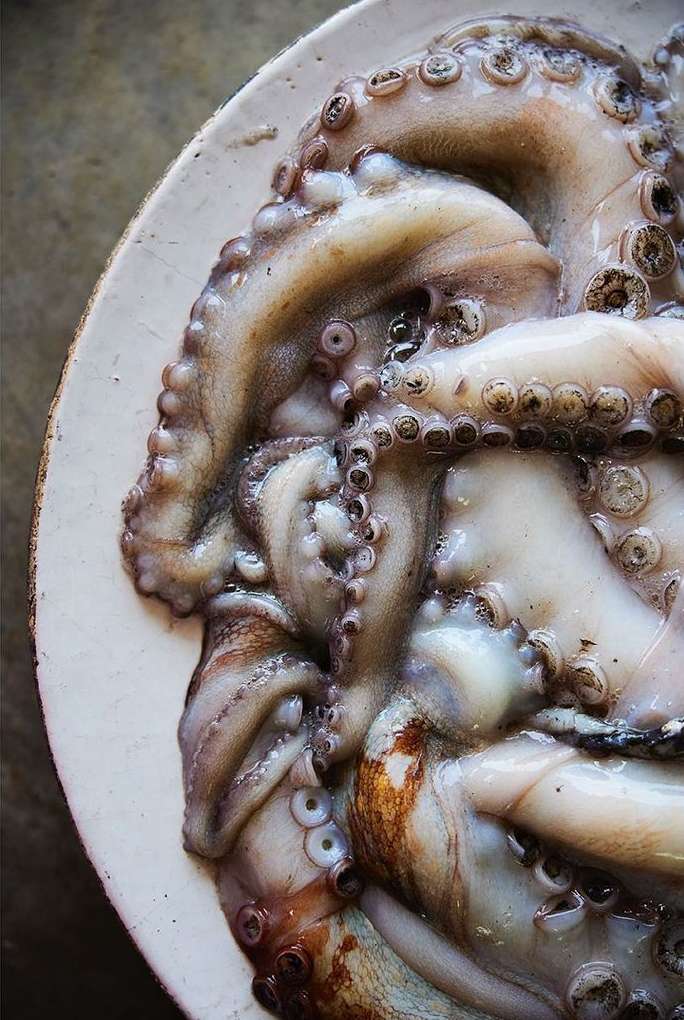 Quadrille |  Nov. 23