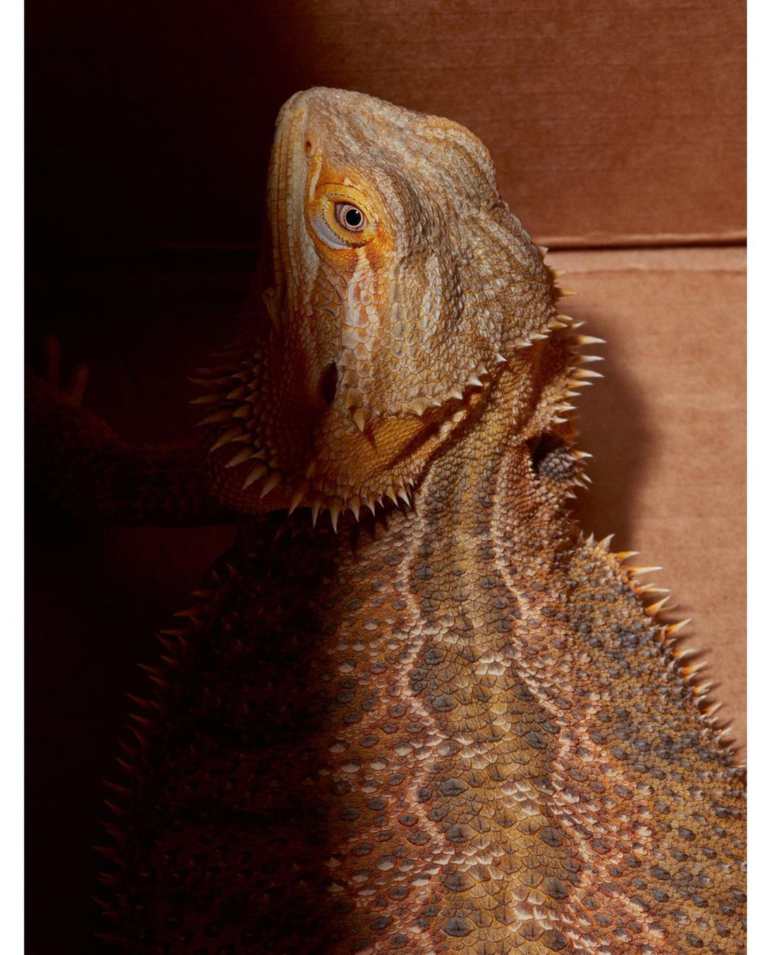 National Geographic |  Apr. 21