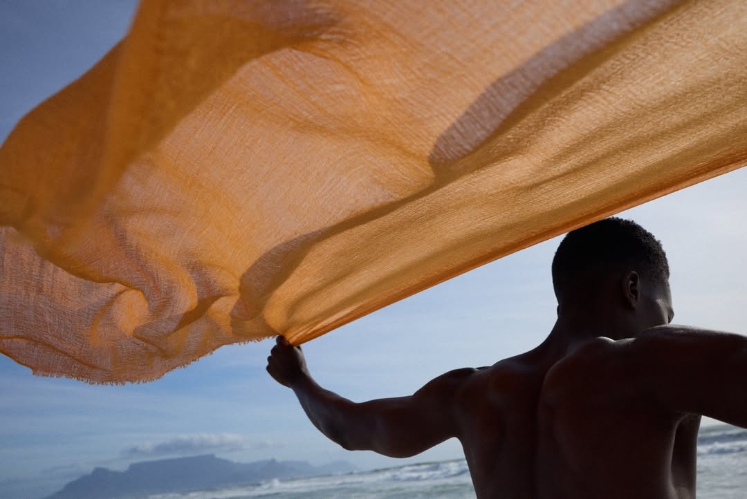 <a href="/david-maurer">David Maurer</a> <span style="text-transform: none; white-space: nowrap;">Nov. 25</span>