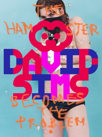 David Sims
