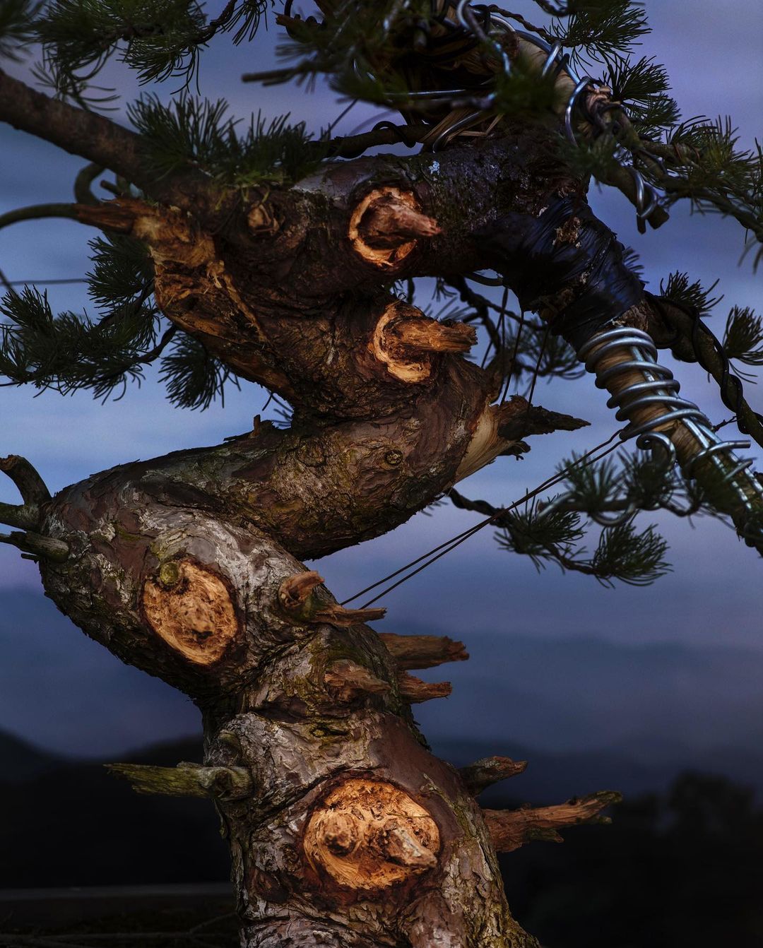 Museum Angewandte Kunst |  May. 22