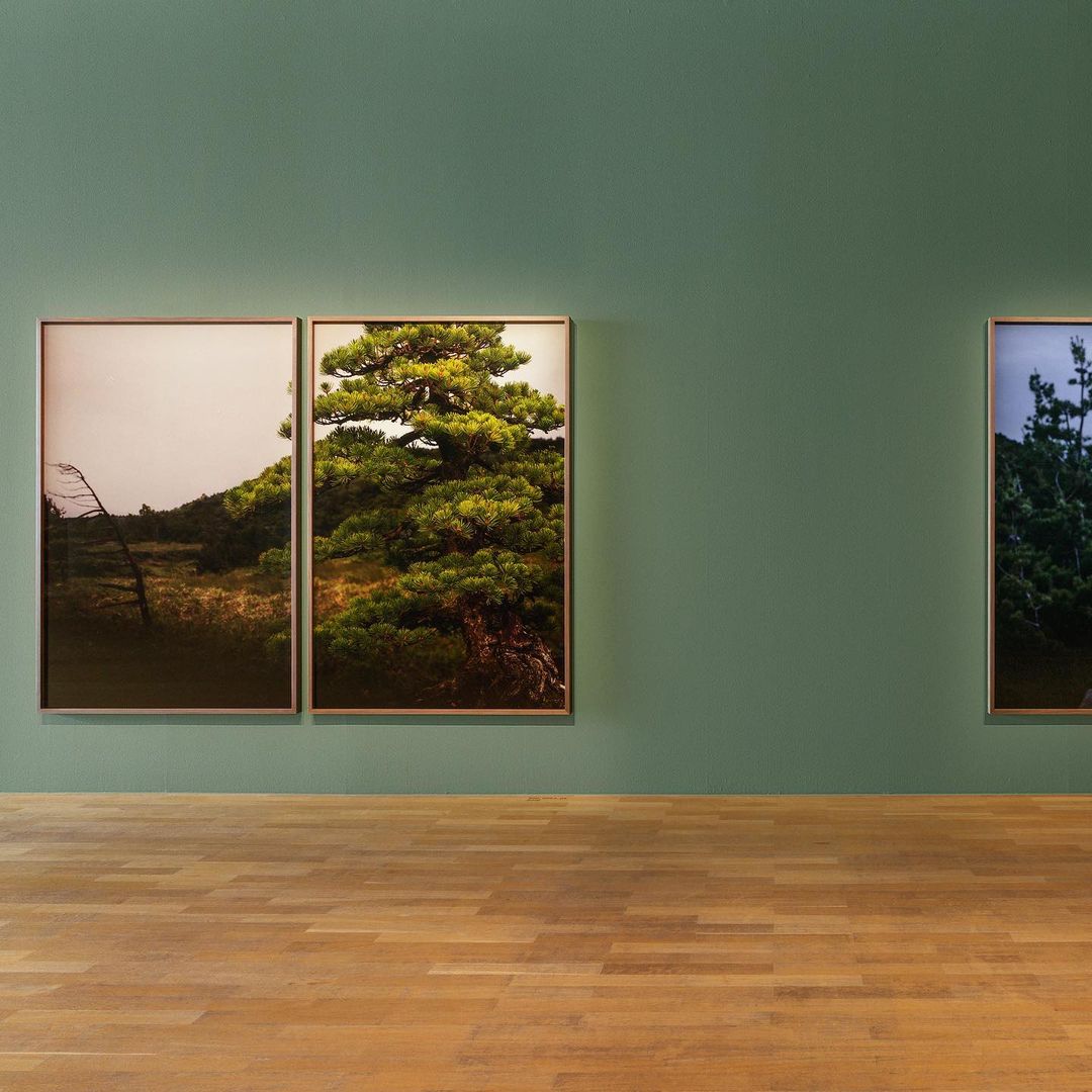 Museum Angewandte Kunst |  Jun. 22