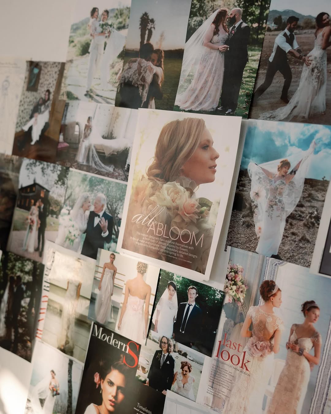 20 years of @clairepettibone 🕊️