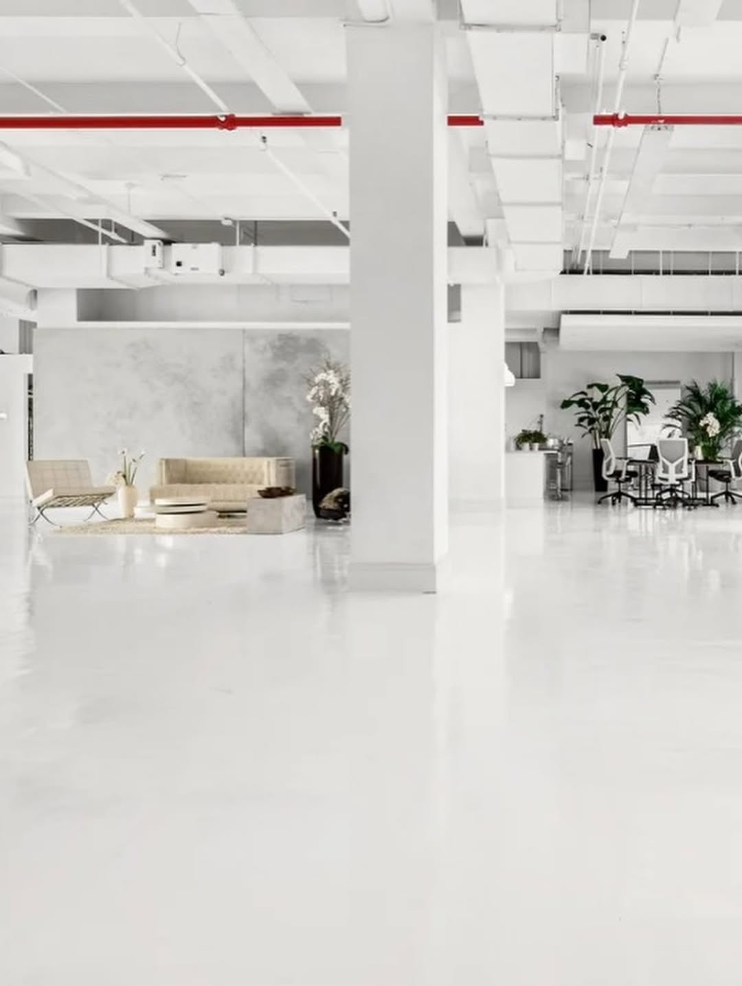 A vision needs the right environment to fully come...