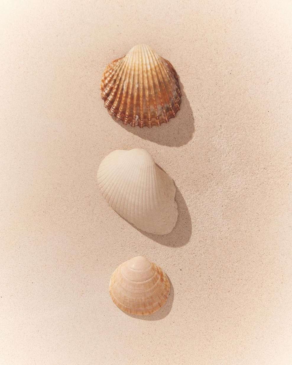 ERES Paris Official |  Jul. 23