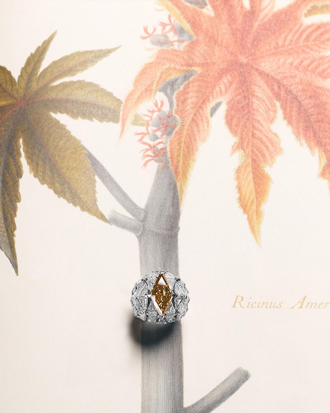 InStyle China |  Nov. 23