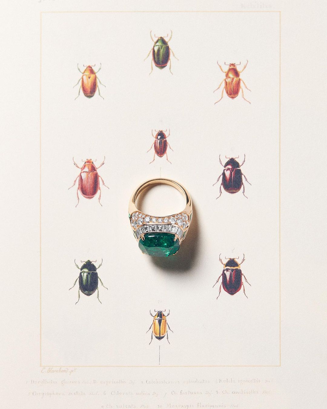 InStyle China |  Nov. 23