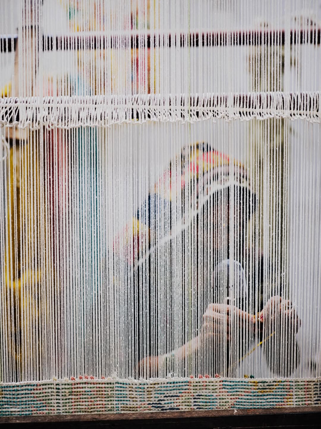 <a href="/debi-treloar">Debi Treloar</a> X Oka <span style="text-transform: none; white-space: nowrap;">Feb. 26</span>