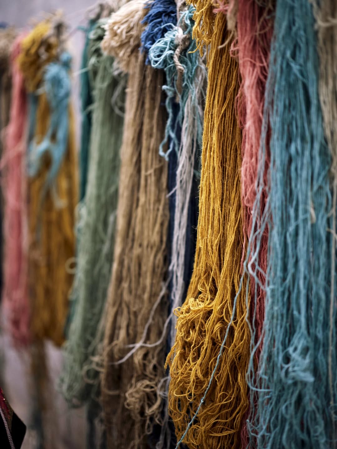 <a href="/debi-treloar">Debi Treloar</a> X Oka <span style="text-transform: none; white-space: nowrap;">Feb. 26</span>