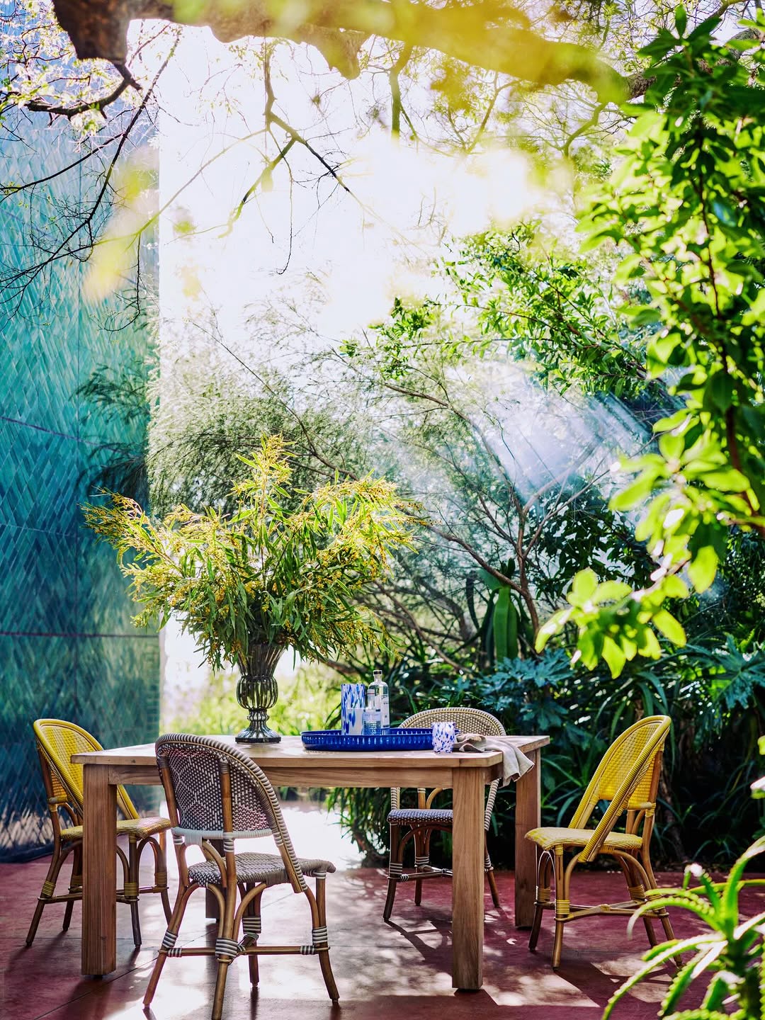 Debi Treloar X Terrain