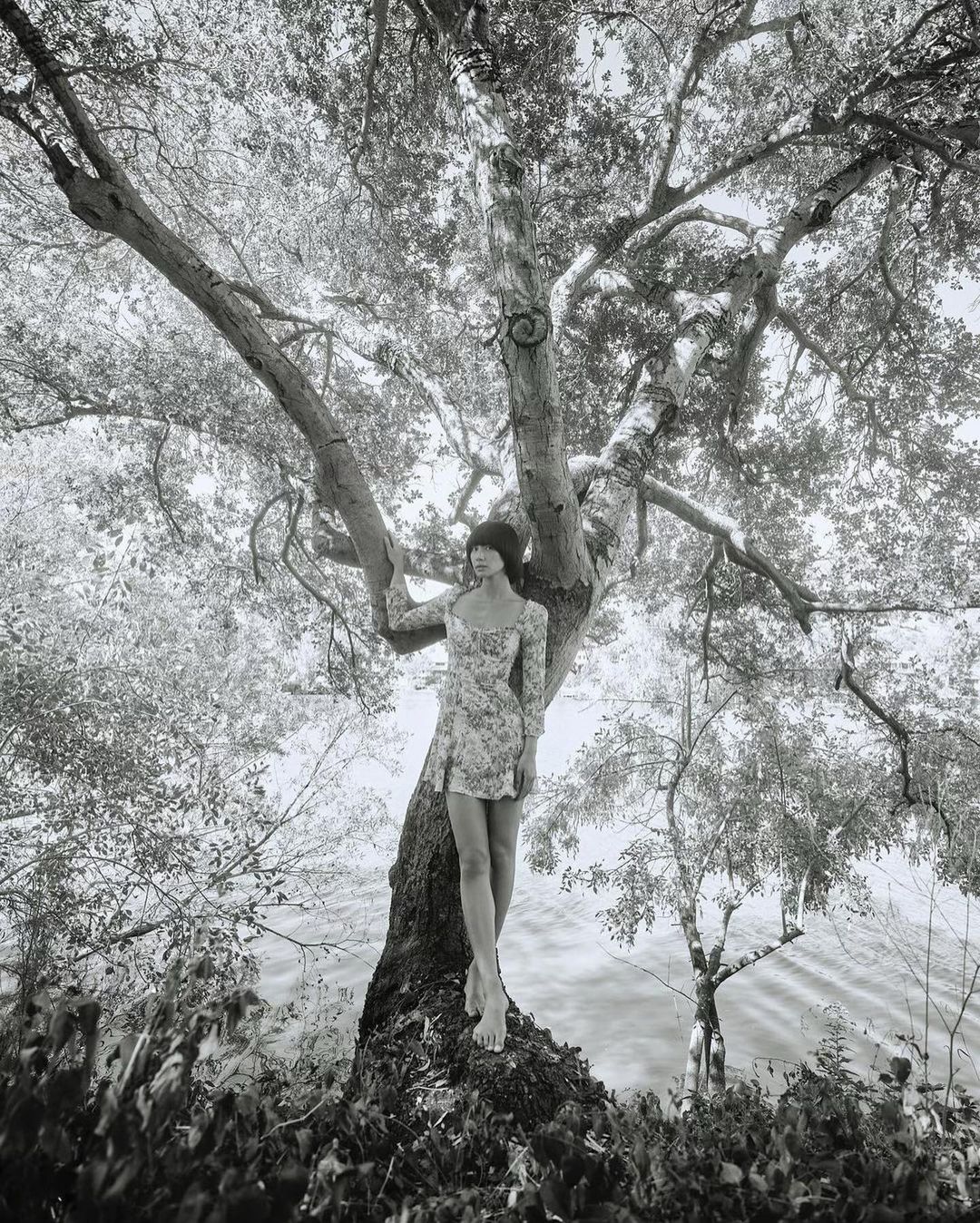 Reformation |  Sep. 23