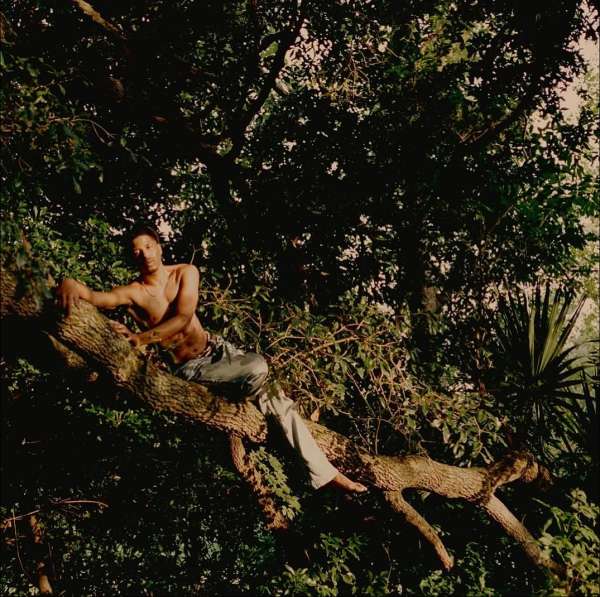 Clifford Prince King