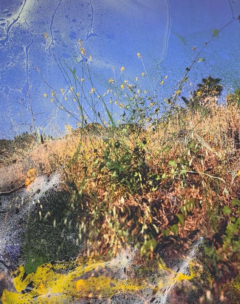 MONDAY REPORT US 01/05/26