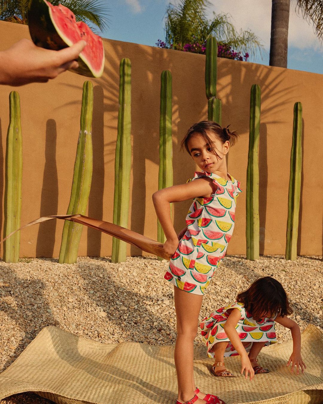 Tea Collection |  Mar. 23