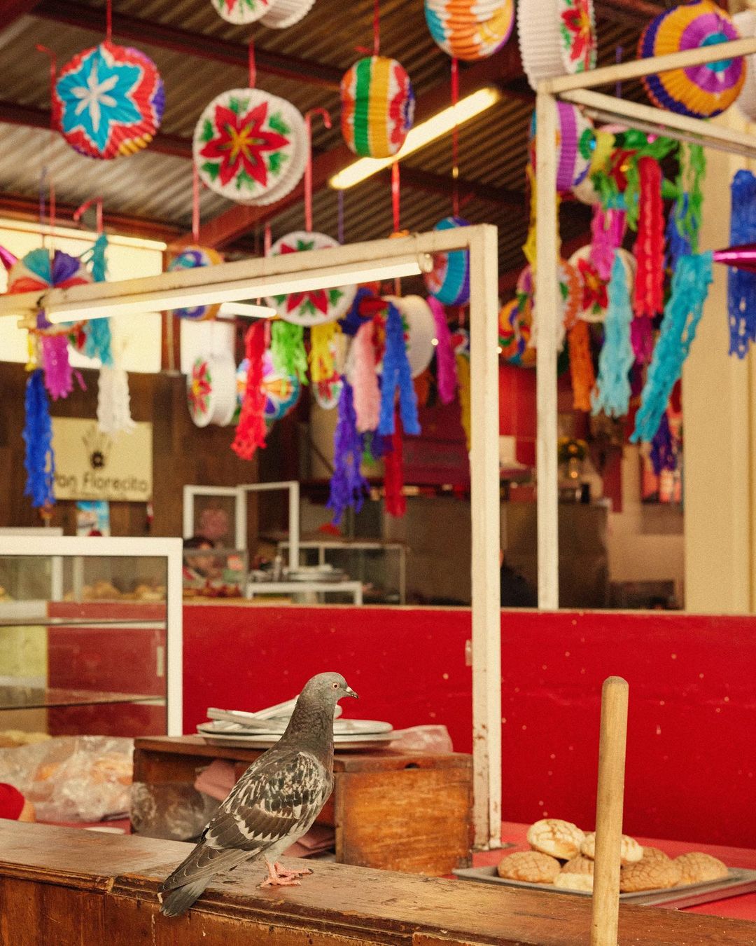 Tea Collection |  Mar. 23