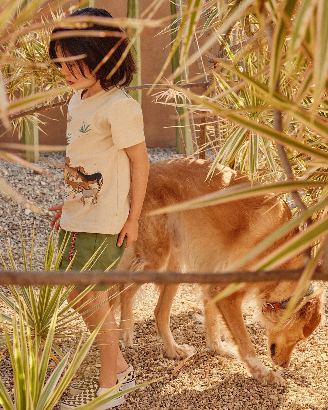 Tea Collection |  Mar. 23