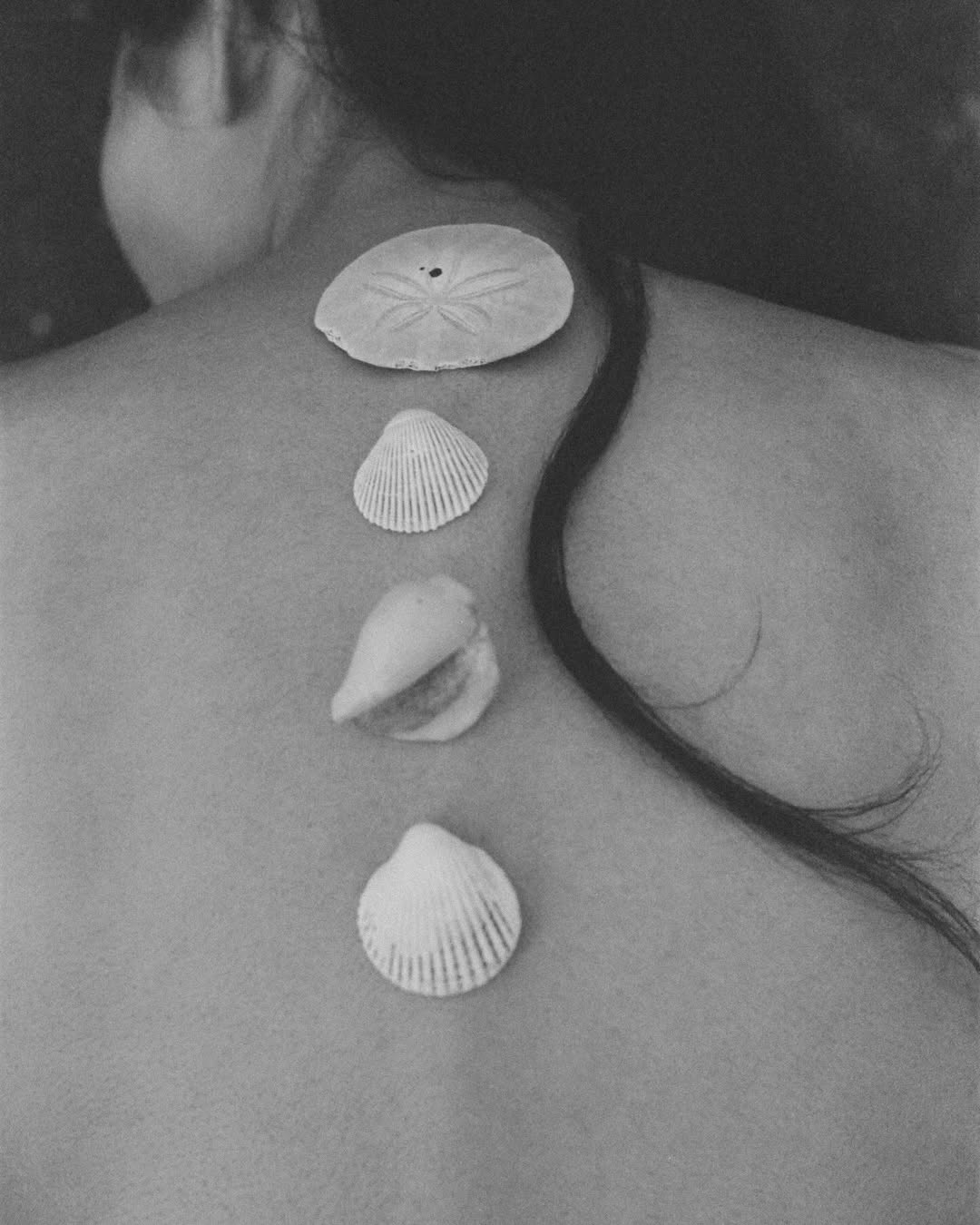 Maria del Río Nov. 25