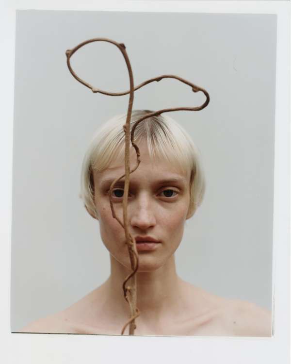Denis Boulze