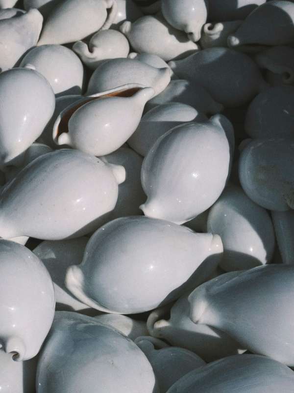 England to Normandy to England shot by our ...