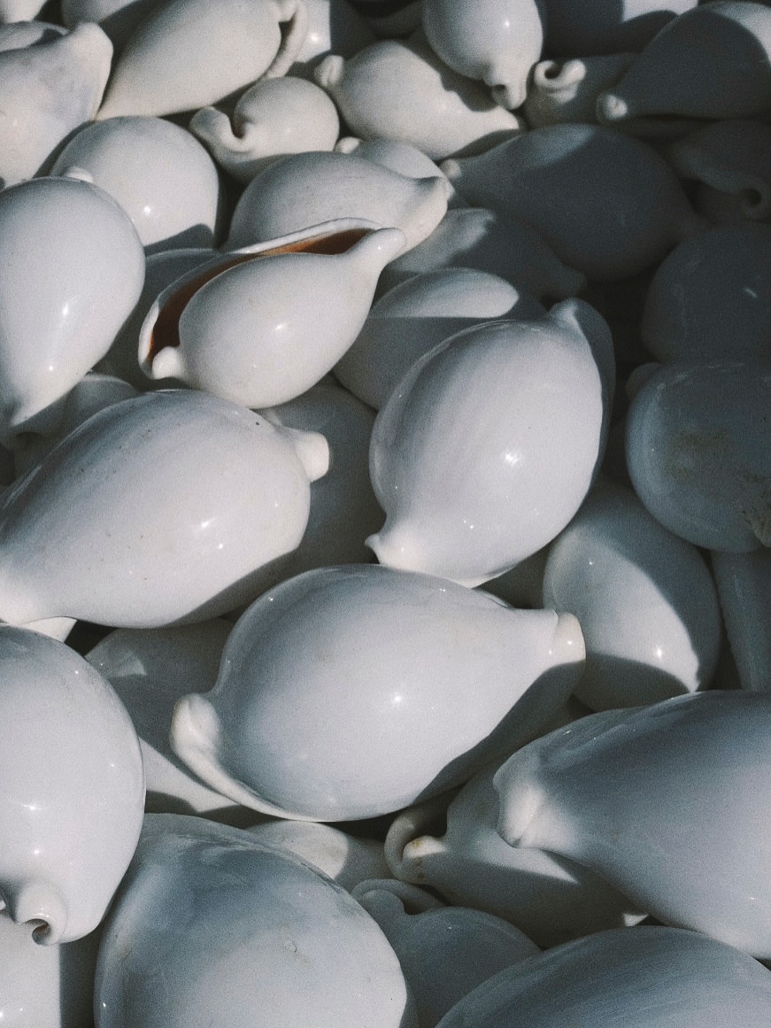 England to Normandy to England shot by our photographer @florie_berger 

Paper jellyfish sculpture : @geraldine_gonzalez_paris