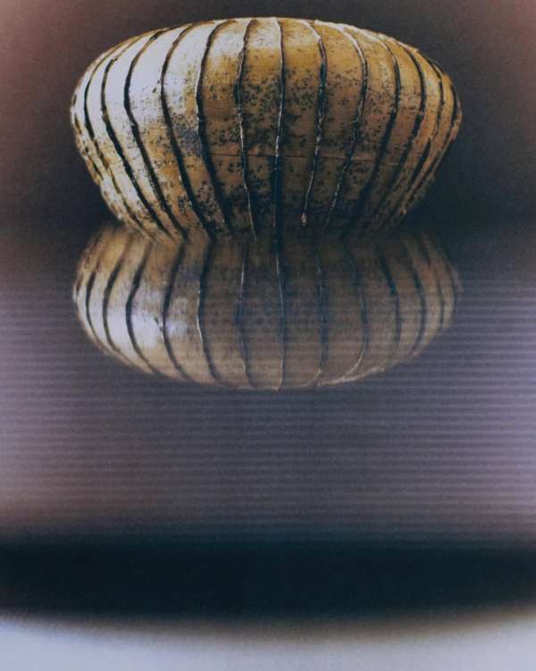 Ceramics for @juliette.penelope.pepin with ...