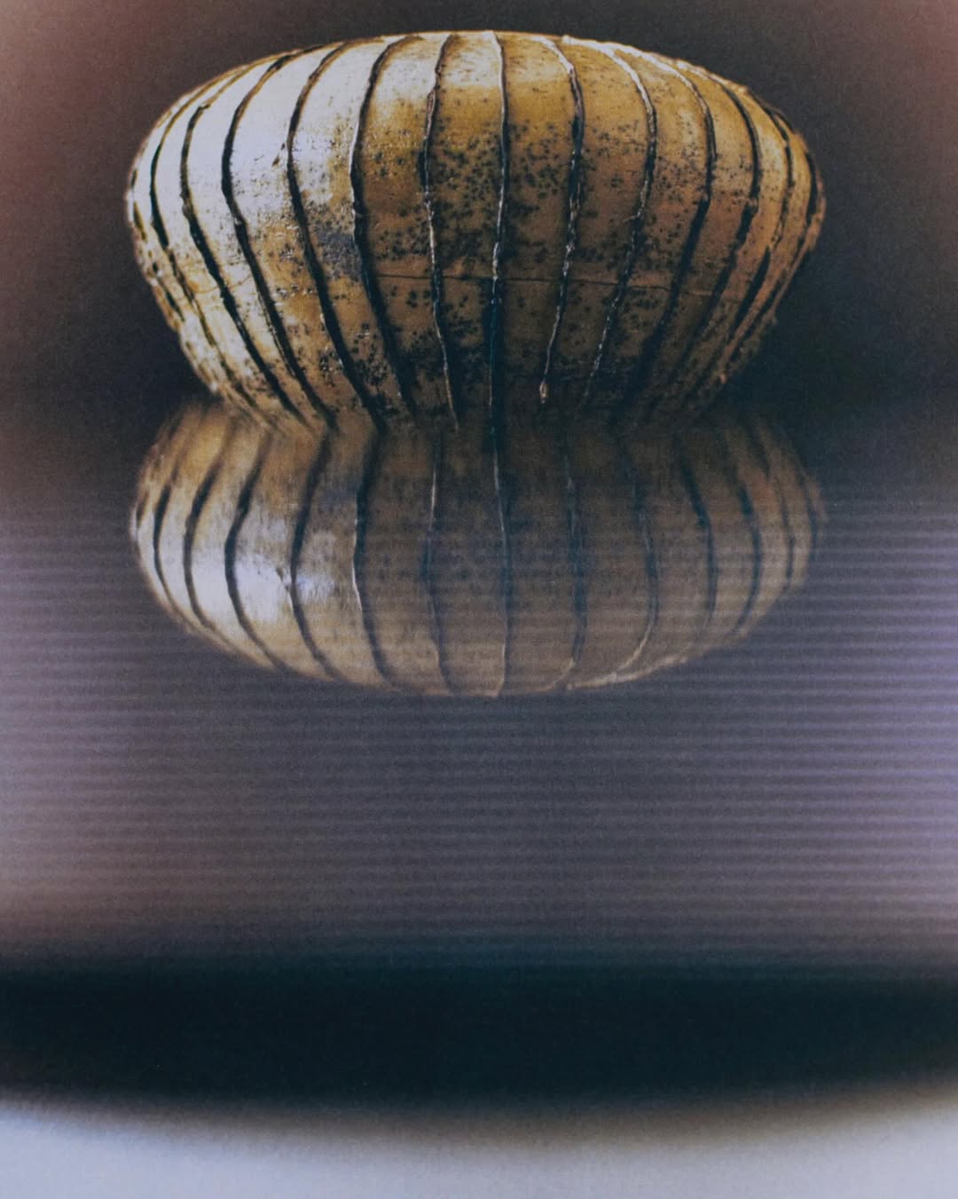 Ceramics for @juliette.penelope.pepin with a set design by our artist @lise___dupont shot by @_charlotterobin