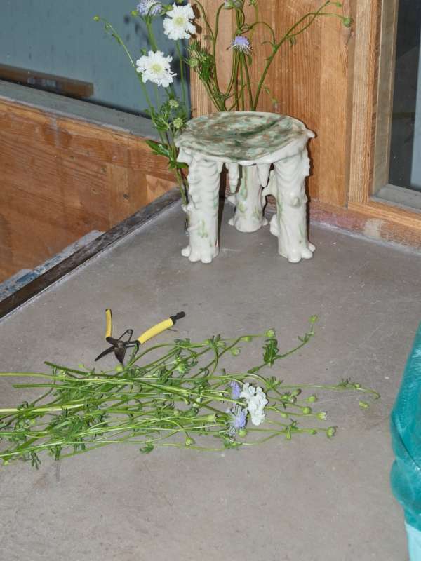 A new floral set design by our artist @tara...