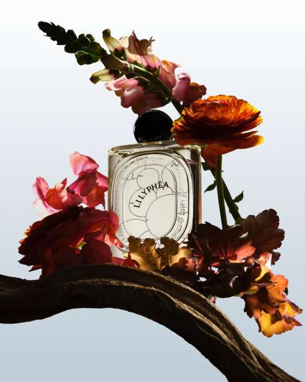 A new personal series shot by our photograp...