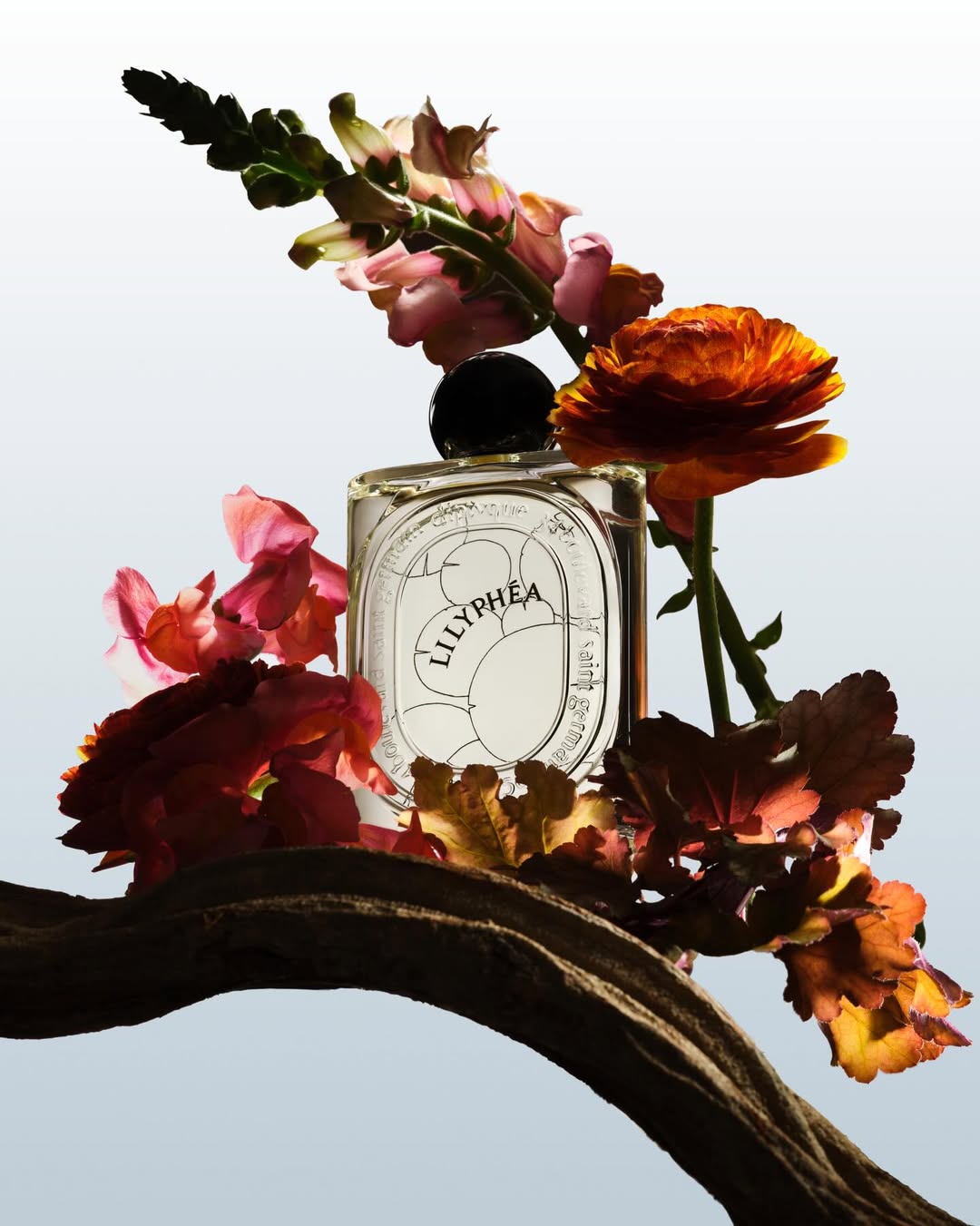 Lucie Conrad Feb. 26