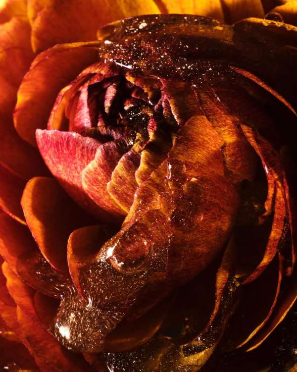 A new personal series shot by our photograp...