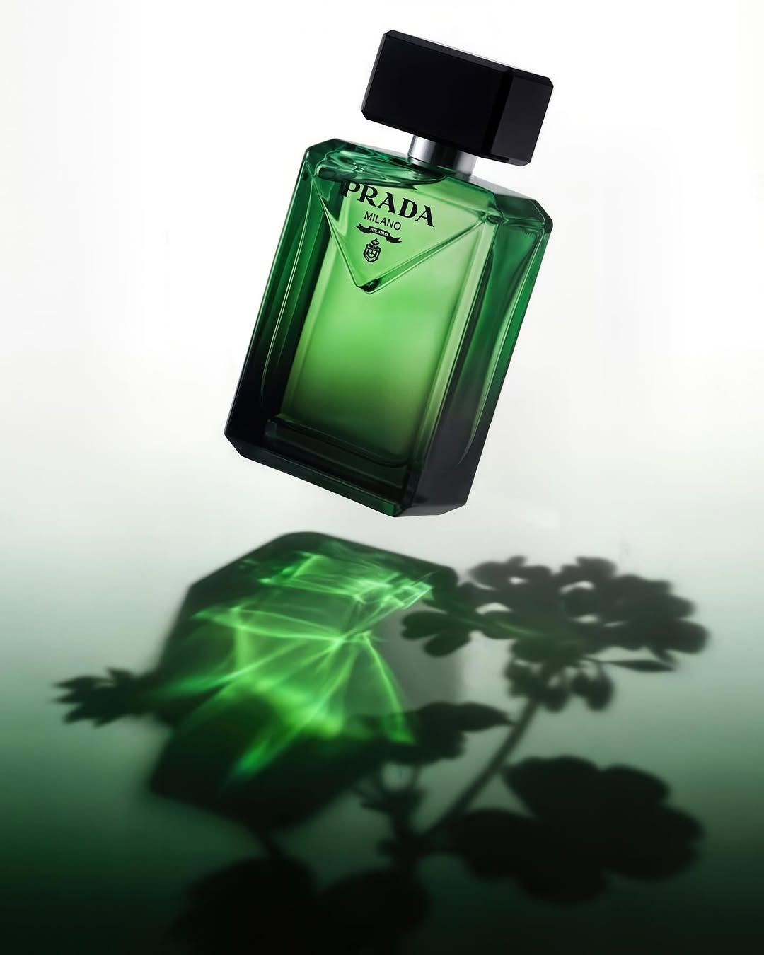 MCAS X Prada Apr. 26