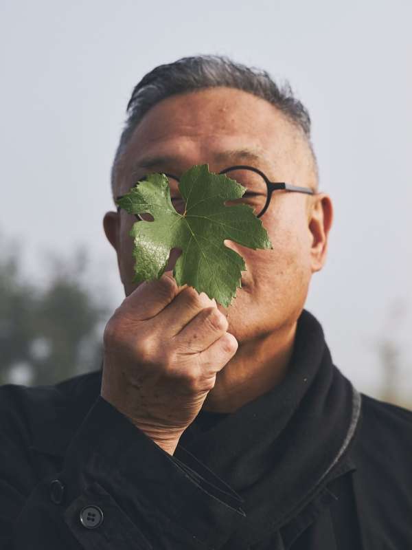 Conversations with nature our new @ruinart