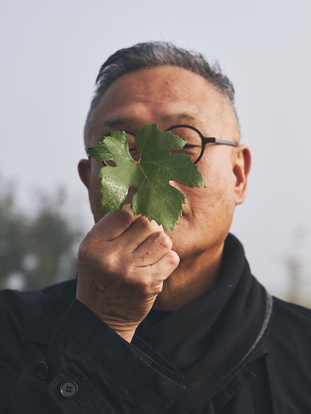 Conversations with nature our new @ruinart