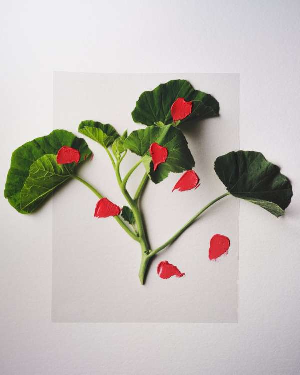 Unveiled a personal series shot by our phot...
