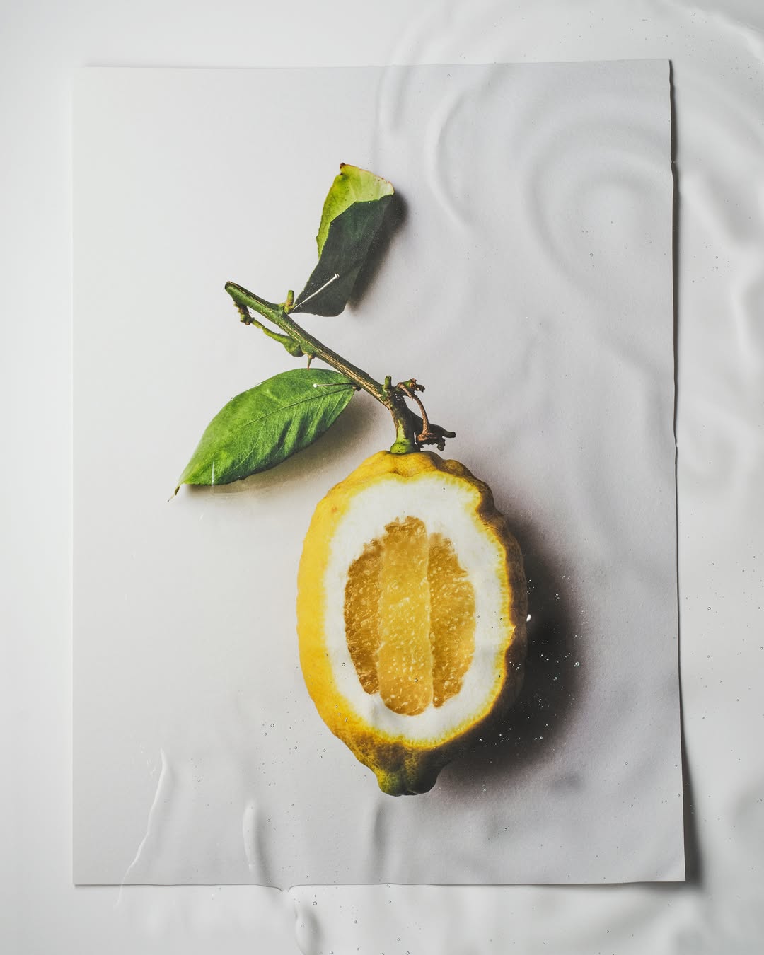 Unveiled a personal series shot by our photographe...