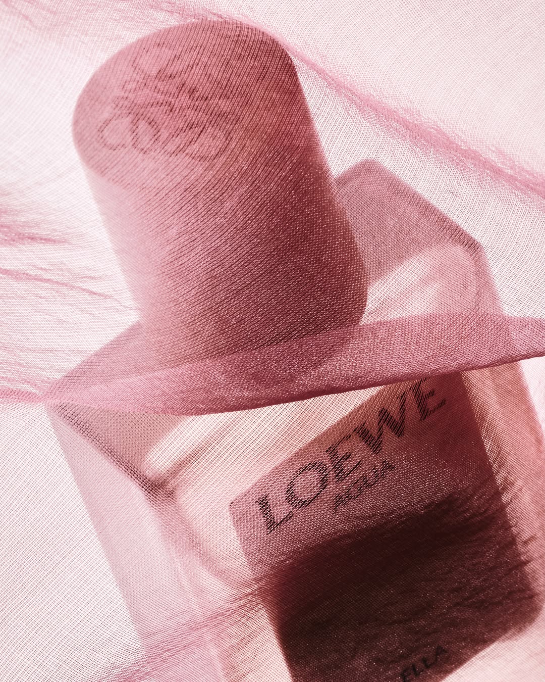 Lucie Conrad X LOEWE Perfumes