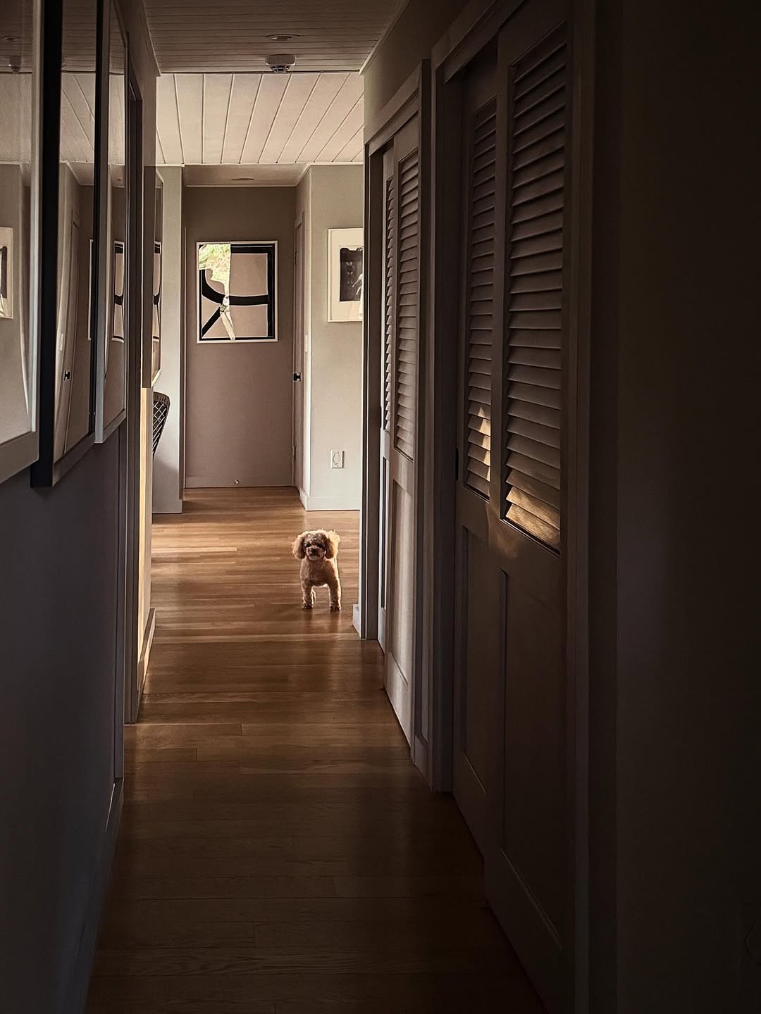 David Prince Apr. 26