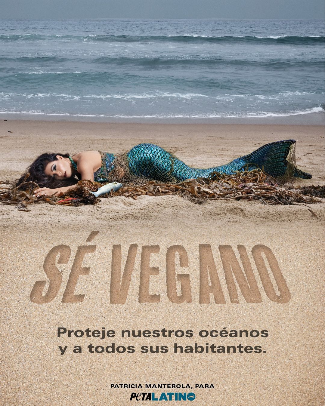 PETA Latino |  Sep. 22