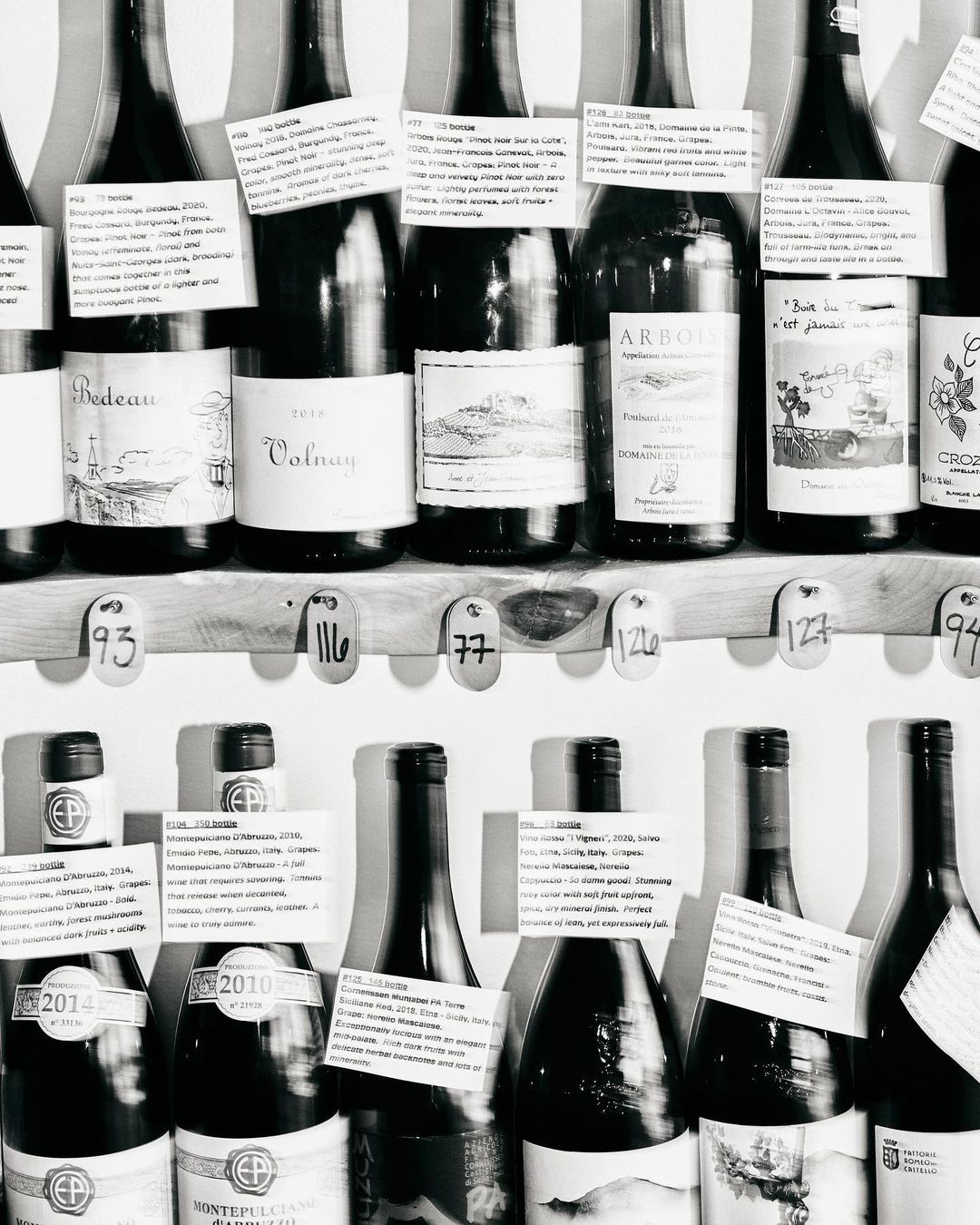 Rhizo Magazine |  Mar. 23