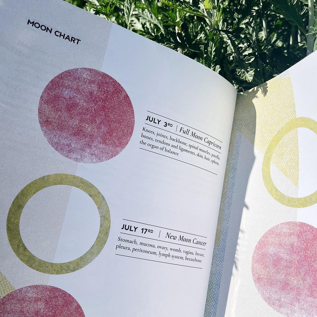 Rhizo Magazine |  Jun. 23