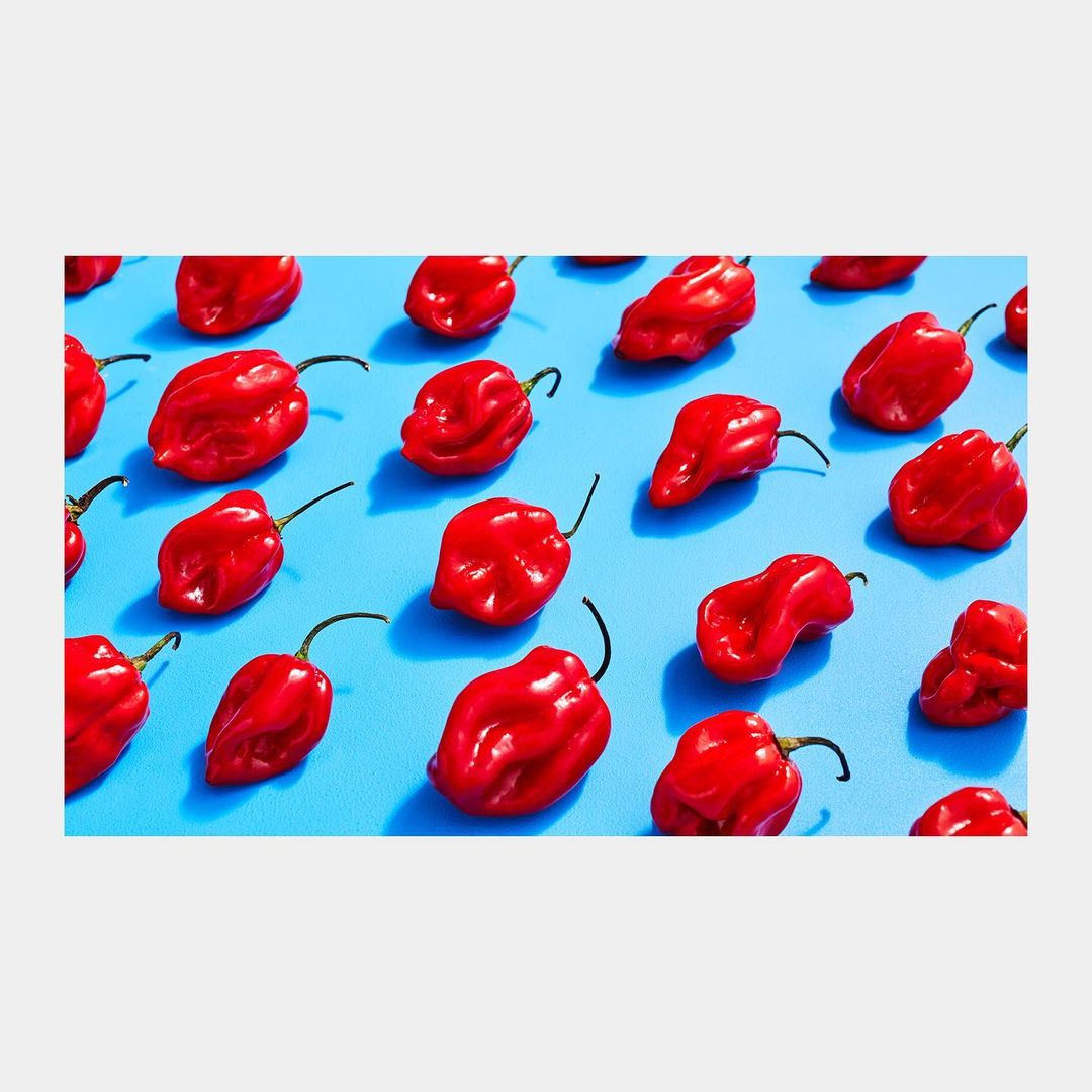 Smith Street Books |  Aug. 21