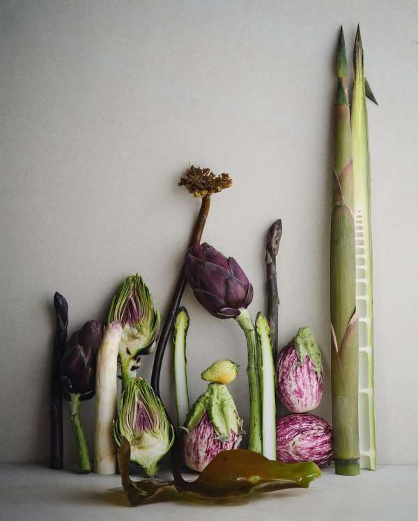 Ditte Isager