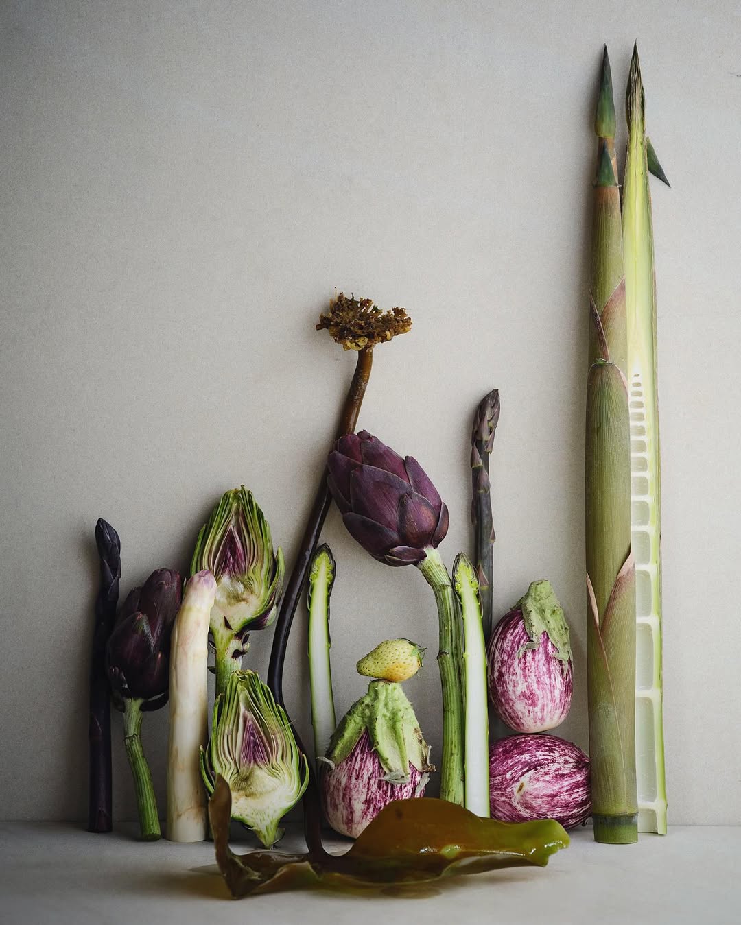 Ditte Isager X noma Jul. 25