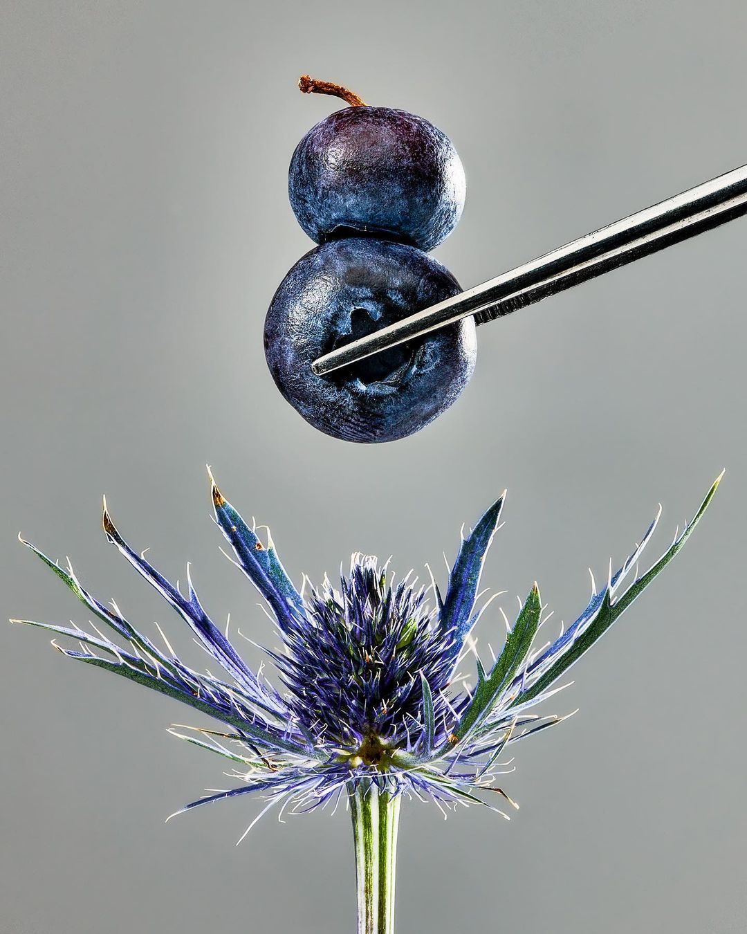 happy being |  Aug. 22