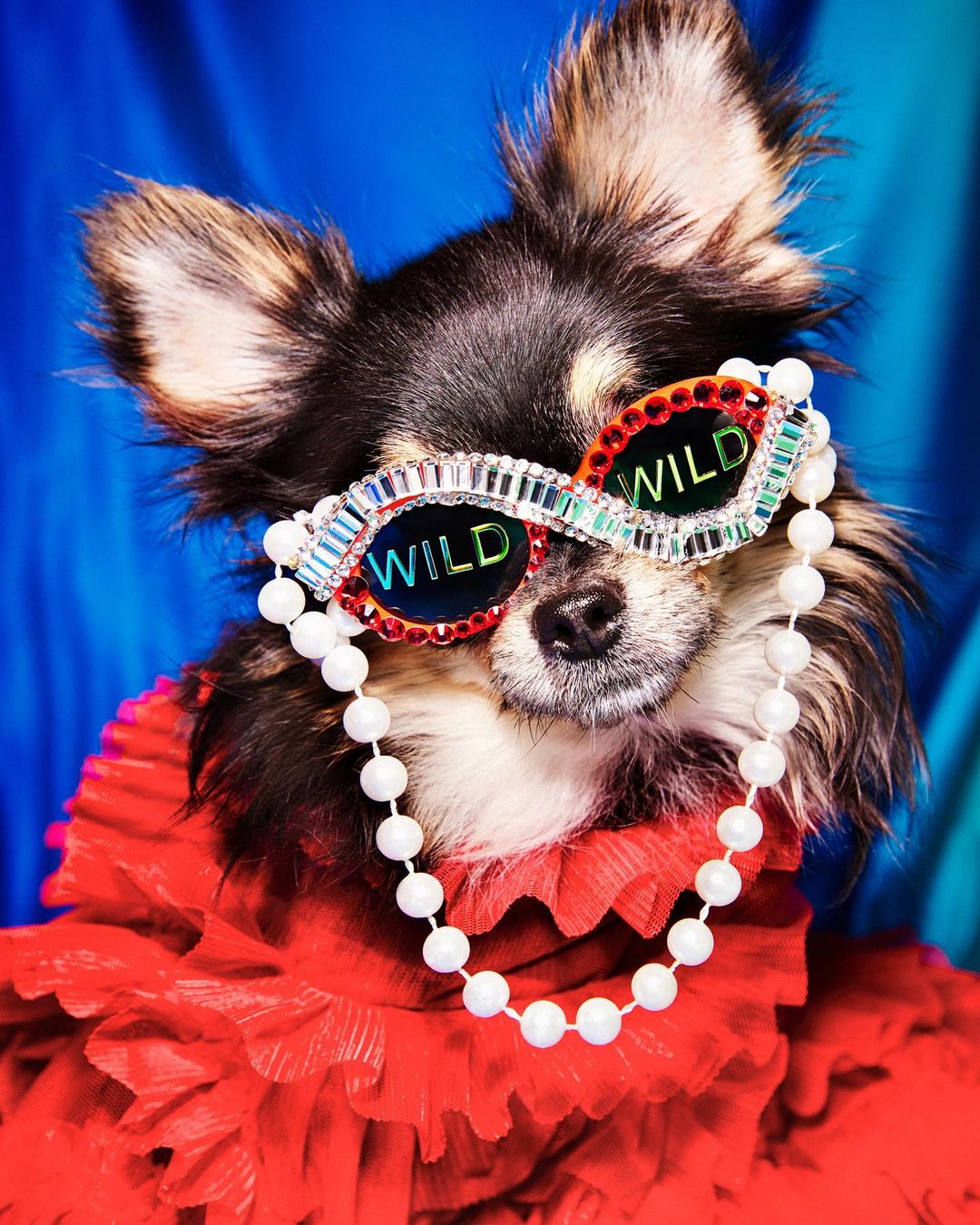 Hootsuite |  Aug. 22