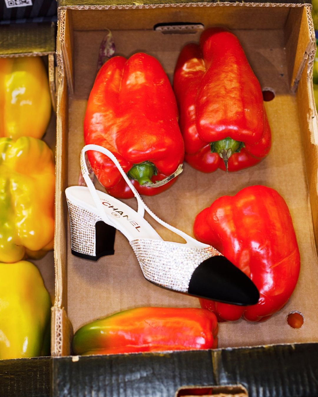 W Magazine |  Feb. 23