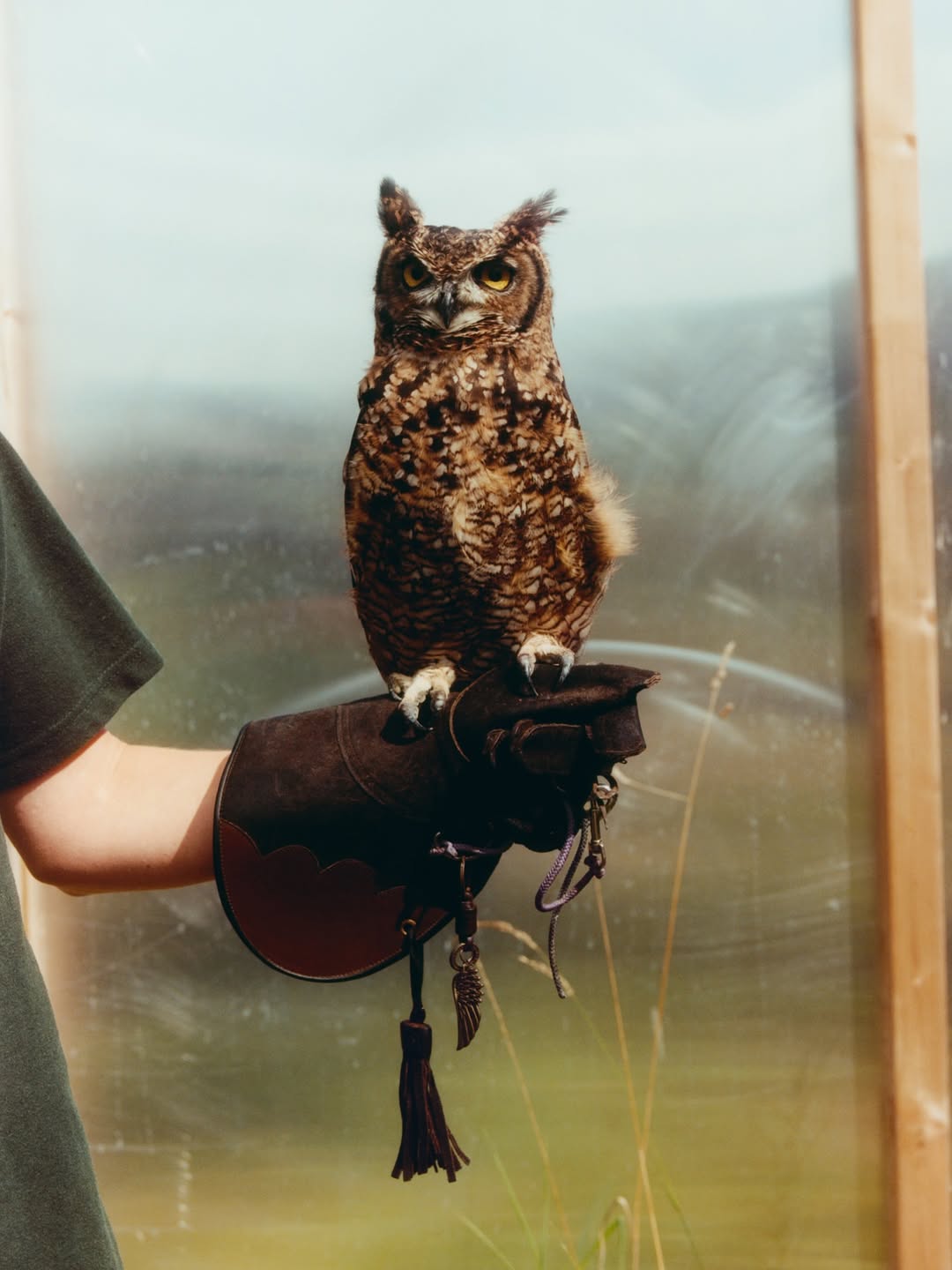 Lauren Maccabee  X Hackney Downs Studios Apr. 26