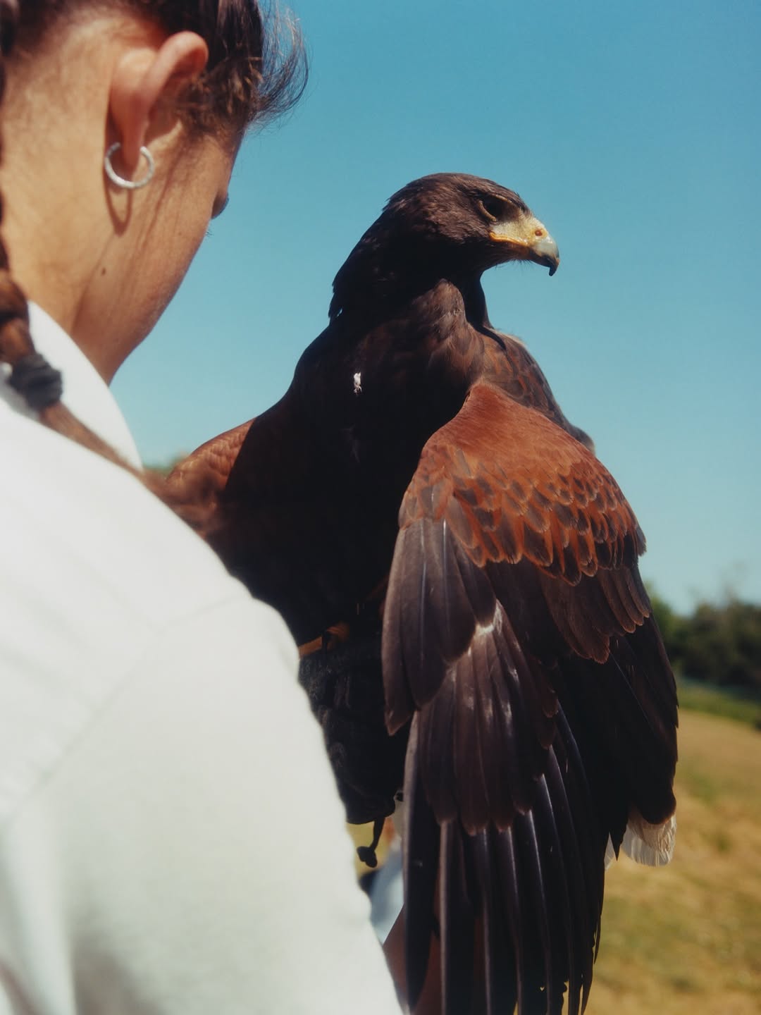 Lauren Maccabee  X Hackney Downs Studios